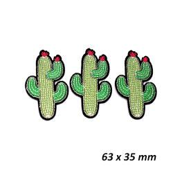 APLIKACJA A/19 kaktus